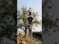 Show off real kung fu, folk skills, original videos, creative production, my rural life