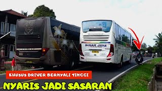 Raja pantura memang beda‼️aksi bus sinarjaya dan bus san primajasa, sugeng rahayu, budiman