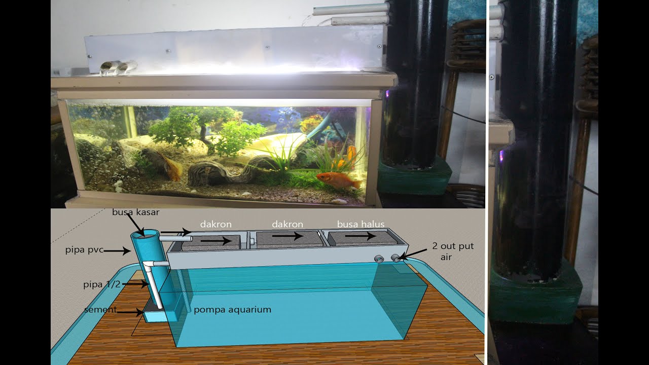 membuat filter aquarium dari paralon dijamin jernih YouTube