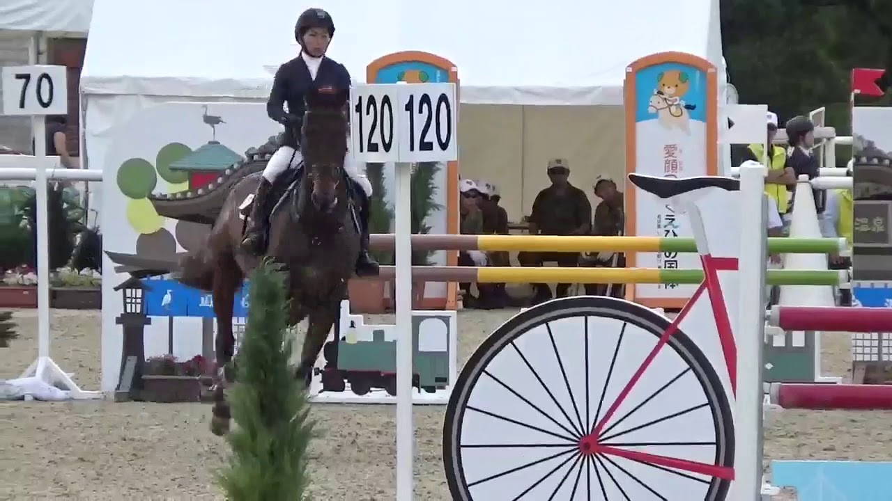 トップスコア競技のルール Showjumping Journal