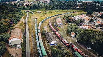 Customs Procedures & Special Procedures: Free Circulation