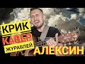 Крик журавлей - Алексин / кавер под гитару. Красивая песня гениального автора