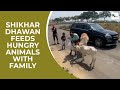 Heartwarming Video: Shikhar Dhawan feeds hungry animals with family!
