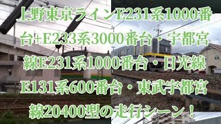 上野東京ラインE231系1000番台+E233系3000番台・宇都宮線E231系1000番台・日光線E131系600番台・東武宇都宮線20400型の走行シーン！#鉄道 #jr東日本 #東武宇都宮線 