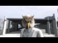 White owl cant fly