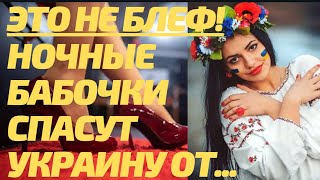 Очень срочно! Ночные бабочки спасут Украину от финансового кризиса