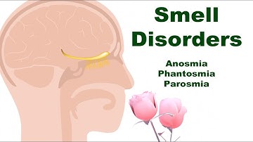 Smell Disorders: Anosmia, Phantosmia, and Parosmia (Why and What Happens?)