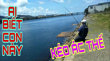 CÂU ISO BIỂN DÍNH CON NÀY, AI BIẾT LOÀI CÁ NÀY KHÔNG, TEXT CẦN SHIMANO RINKAI ERANSA || NDK Vlogs
