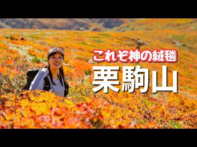 a29_★希少全巻揃い★山と渓谷社『ウッディ・ライフ <全109巻>』 a29_☆希少全巻揃い☆山と渓谷社『ウッディ・ライフ <全109巻