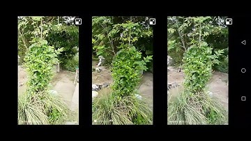 tecno spark 10c vs itel s23 vs infinix hot 30i video comparison