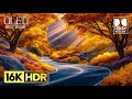 Stunning OLED Demonstration: 16K HDR 120 FPS Dolby Vision Video