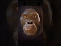 "Funny Human Evolution 😂 Weird Cute Baby Transformation | Cute Funny Comedy Scary Scene" #funny