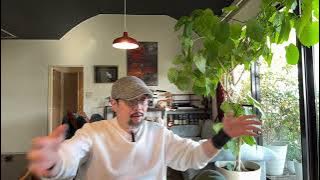 中国政府背后给了跨境电商一刀：欧美取消小额包裹免税政策，中国要求跨境电商补税与合规化，内外夹击是个什么意思｜欧盟｜义乌｜贸易战｜免税｜增值税｜