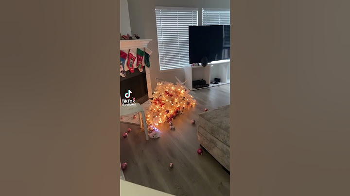 al gato se le cae el árbol de navidad
