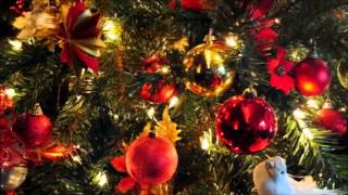 Video thumbnail of "L'ALBERO DI NATALE"