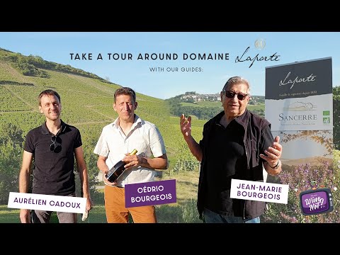 Wine Not TV - Domaine Laporte Virtual Tour