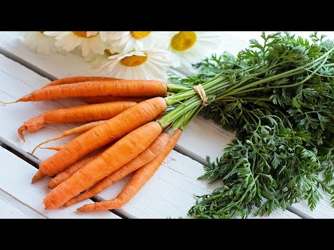 Как правильно сажать морковь лентой в открытом грунте весной