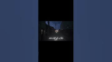 إنك لا تهدى من أحببت 💜 | سورة القصص [٥٦-٥٧] #قرآن #قران_كريم #ياسر_الدوسري