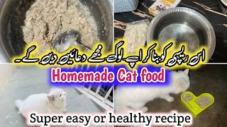 Homemade cat food recipes || How to make cheap cat food at home || Persian cat homemade food