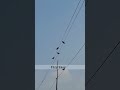 ভেবে দেখছ কি? #fizyeasy #physics #shorts #science
