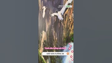 Tranh 3d dán tường trang trí phòng khách #tranhdantuong #tranh3d #giaydantuong #shorts