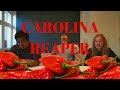 Europeans React to the Spiciest Pepper (Carolina Reaper)