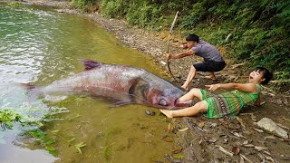 Primitive Life - Technology Wild Fishing - Primitive Skills Cooking Big Fish - Eating Delicious