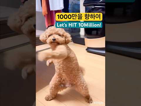뮤직에 맞춰 춤추는 푸들강아지 #ai #aiding