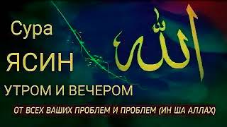 🔊 Сура "Ясин, "Утром и Вечером"سورة يس Очень сложные проблемы будут решены Ин Ша Аллах