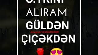 Adlara Uyğun Şeir