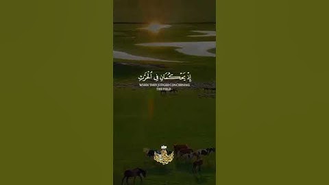 وداوود وسليمان إذ يحكمان في الحرث إذ نفشت فيه غنم القوم ۞ سورة الأنبياء ۞ عبدالباسط عبدالصمد