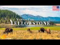 Yellowstone national park 4k ultra  stunning footage scenic relaxation film with calming music