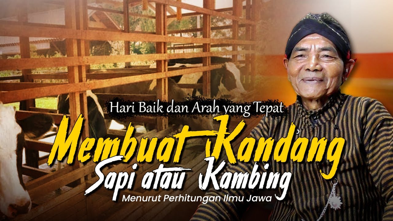 AGAR TERNAK SAPI DAN KAMBING SUKSES, PILIH HARI BAIK INI UNTUK MEMBUAT KANDANGNYA❗