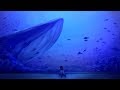 ナイトメア・アクアリウム - テラ feat.初音ミク MV