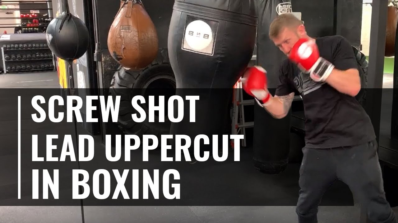 Screw shot / lead uppercut in boxing from an Olympic medallist YouTube