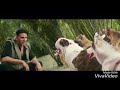 Akshay Kumar Talk Wid Dogs Vry Funny Scene Akshay Kumar Talk Wid Dogs Vry Funny Scene
