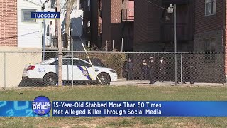 Celebrity Digital Brief: November 30, 2017 (PM) Profile