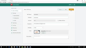 API version and lifecycle management