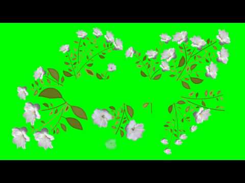 ورود بنفسجى الكروما كير 2014