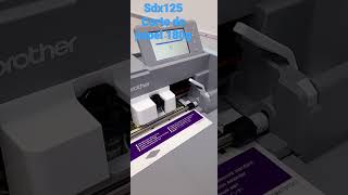 Corte De Papel 180Gr Sdx125.