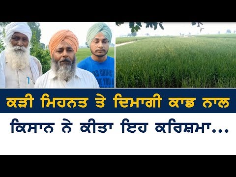 6 ਏਕੜ ਝੋਨੇ ਨਾਲ 54 ਦਿਨਾਂ ‘ਚ ਬਚਾਇਆ 63 ਲੱਖ ਲੀਟਰ ਪਾਣੀ