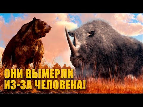 15 Красивых ЖИВОТНЫХ вымерших из-за человека