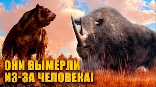 15 Красивых Животных Вымерших Из-За Человека