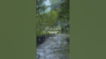 ﴾الَّذِينَ صَبَرُوا وَعَلَى رَبِّهِمْ يَتَوَكَّلُونَ...﴿ تلاوة خاشعة للقارئ الشيخ عبد الرحمن مسعد 💐