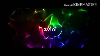 Intro Para Zvini