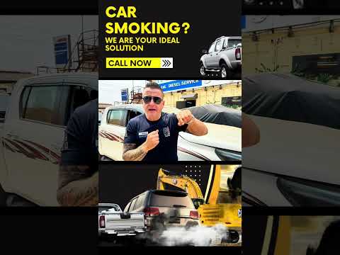 Asap Automotive Bear De