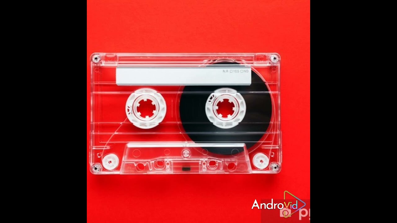 جديد جاسم فضليه موال بديت جدمي لا تضل لغير وبسته ضل ياكلب ضل بدار شالو حبابك 2025