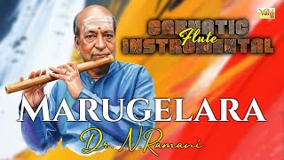 🎶 Marugelara | Dr. N. Ramani – Flute | Jayanthasri | Adi | Thyagaraja Krithi | Carnatic Instrumental