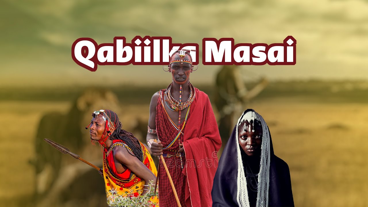 Qabiilka kaliya ee ugaarsada liibaaxyada | Qabiilka Masai
