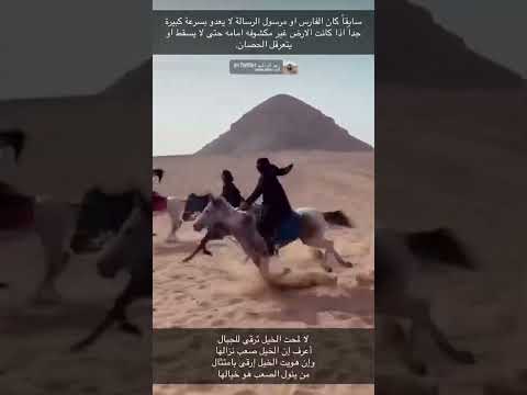 بنت تسقط عن الخيل خيل